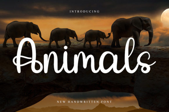 Animals Script Font Review for Design Projects