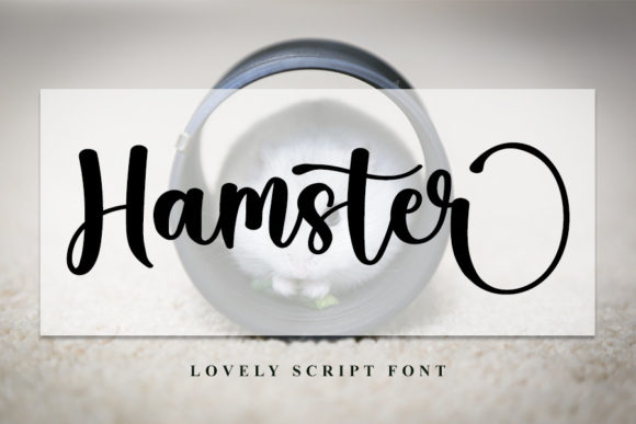 Hamster Font for Modern Branding and Digital Campaigns