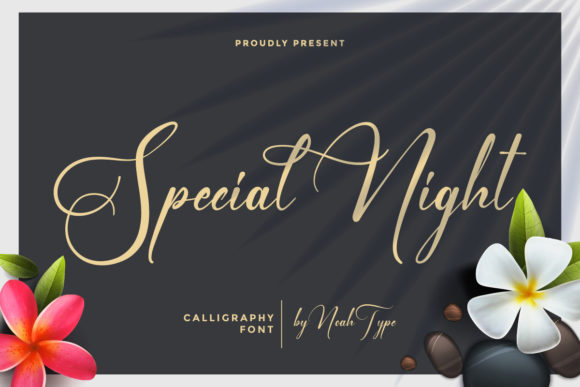Special Night: Elevating Campaigns with a Sophisticated Script Font